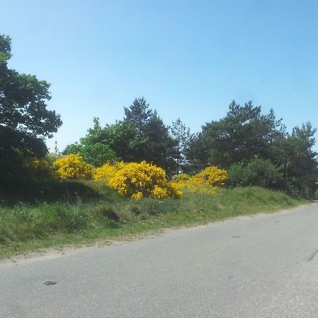 شقة Urlaub Bei Hauenstein بون المظهر الخارجي الصورة