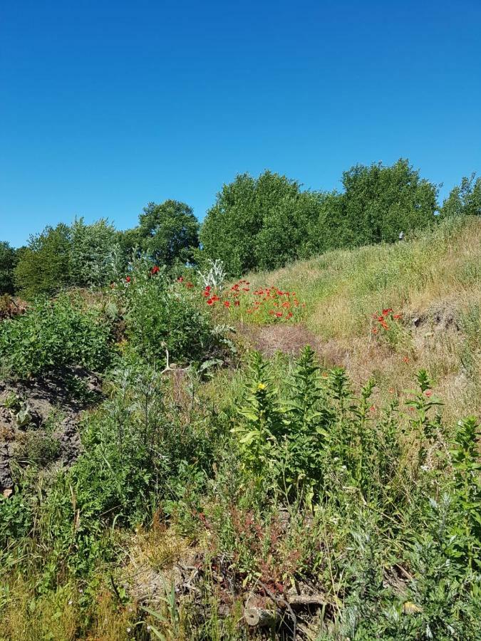 شقة Urlaub Bei Hauenstein بون المظهر الخارجي الصورة