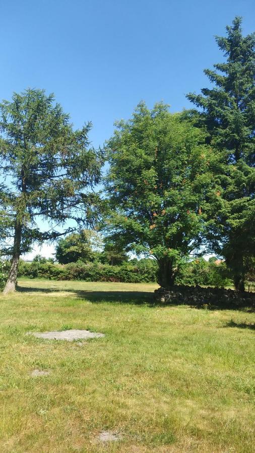شقة Urlaub Bei Hauenstein بون المظهر الخارجي الصورة