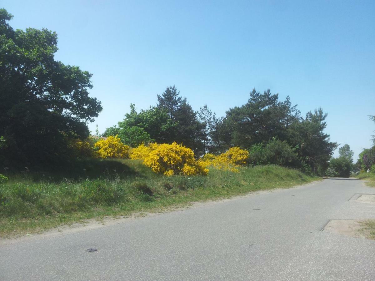 شقة Urlaub Bei Hauenstein بون المظهر الخارجي الصورة